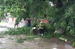 Негода наробила шкоди у семи областях України