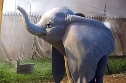 Вышел первый тизер фильма о летающем слоненке «Дамбо»
