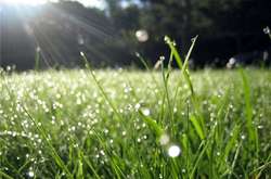 В Україні сьогодні дощі з грозами, температура до +34 