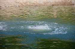 На Прикарпатті чоловік врятував трьох дітей ціною власного життя 