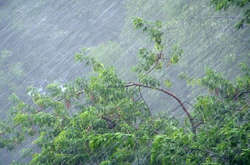 У п’ятницю Києву обіцяють грозу і шквали