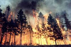 Иллюстративное фото