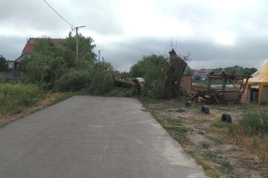 Негода наробила лиха на Київщині: повалені дерева, пошкоджені покрівлі