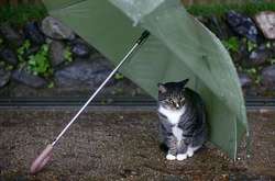 Україну в суботу заллє дощами 