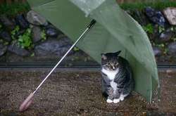 Украину в субботу зальет дождями