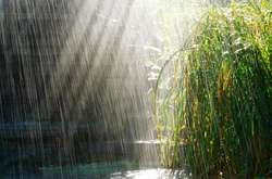 Погода на неділю: дощі з грозами і спека до +30