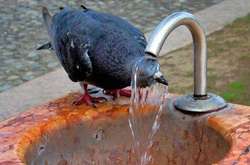 Погода на понеділок: дощі на заході і температура до +31