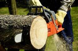 На Вінниччині чоловік смертельно травмувався бензопилою