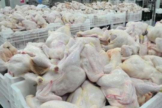 На Тернопільщині сталося масове отруєння курятиною