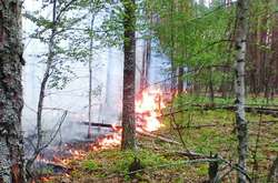 Пожежа в зоні ЧАЕС