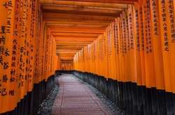 Фантастичні фото, для створення яких не використовувалися графічні редактори