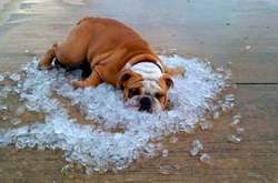 Сьогодні в Україні буде спекотно 