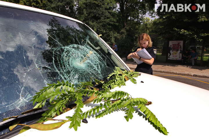 У центрі Києва дерево впало на автомобілі. Фоторепортаж з місця ДТП