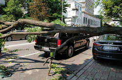 В районе Верховной Рады дерево разбило три дорогие машины (фото, видео)