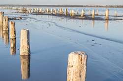 Унікальний курорт Куяльник хочуть відродити