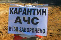 В Ізмаїльському районі оголосили карантин через спалах африканської чуми свиней