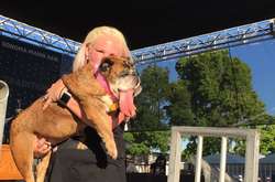 У США обрали найпотворнішу собаку у світі