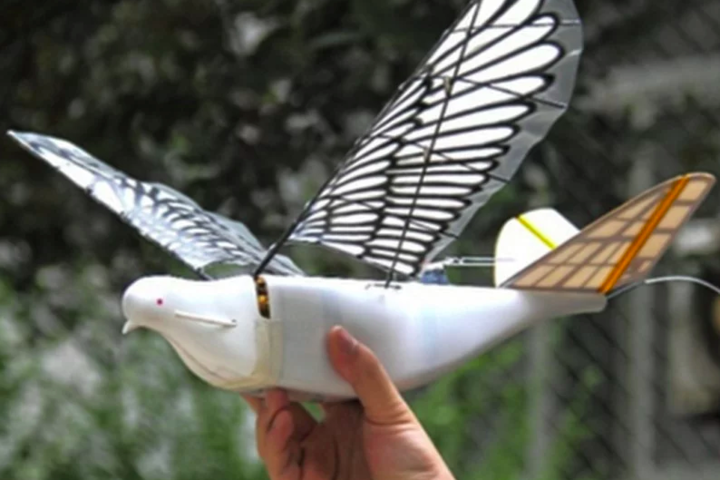 В Китае появились дроны, похожие на птиц. СМИ предполагают, что это для слежки за жителями