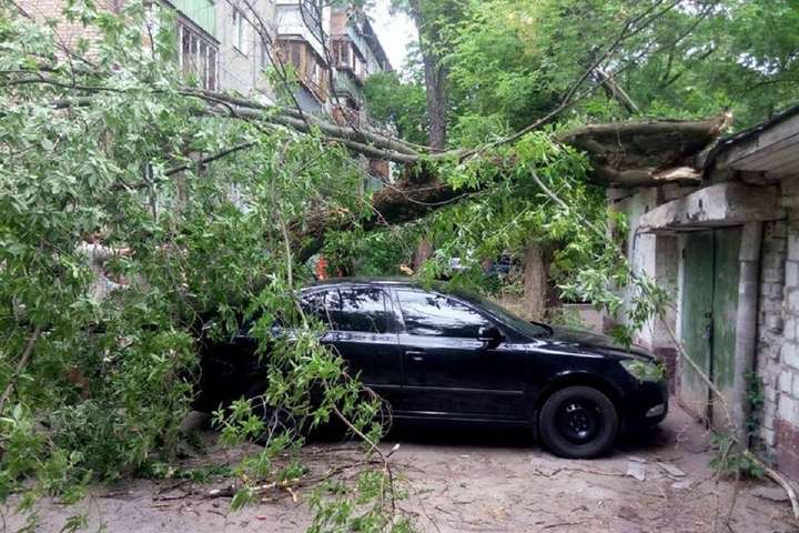 Аварійне дерево на Відрадному двічі побило одну автівку (фото)