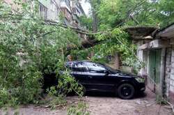 Дерево впало на автомобіль у Солом'янському районі Києва