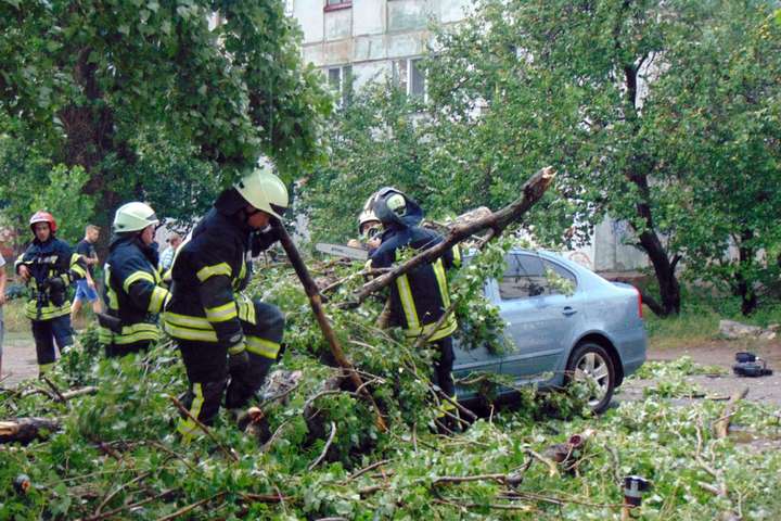 Негода на Луганщині: повалені дерева, знеструмлені сотні будинків 