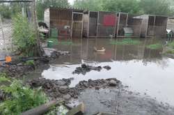 Підтоплення у Івано-Франківську притулку для тварин