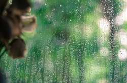 Прогноз погоди на понеділок: прохолодно, місцями пройдуть дощі