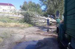 В Україні через негоду знеструмлені 42 населені пункти