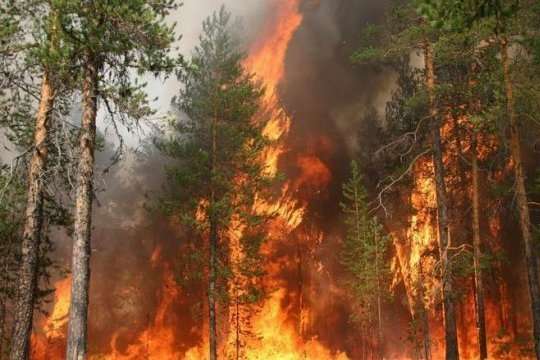 У чотирьох областях України зберігається надзвичайна пожежна небезпека