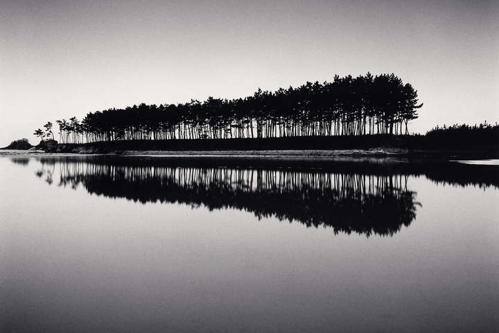 Геніальні світлини дерев зі всього світу, зроблені британським фотографом