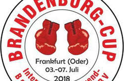 Боксери молодіжної збірної України візьмуть участь у турнірі в Німеччині