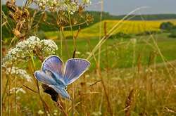 В Україну повертається тепло: прогноз погоди на 5 липня