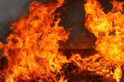 Во Флориде при пожаре на ранчо погибли около 300 экзотических животных 