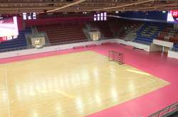 Гандбольний «Мотор» зможе проводити матчі Ліги чемпіонів у Запоріжжі (відео)