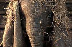 Тим Бёртон показал первый тизер фильма о приключениях слоненка Дамбо