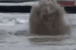 В Одесі на пляжі з-під води забив фонтан багнюки