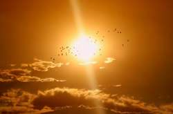 Аномальна спека в Канаді вбила 54 людини