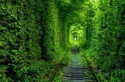 В'їзд до «Тунелю кохання» на Рівненщині для туристів зробили платним