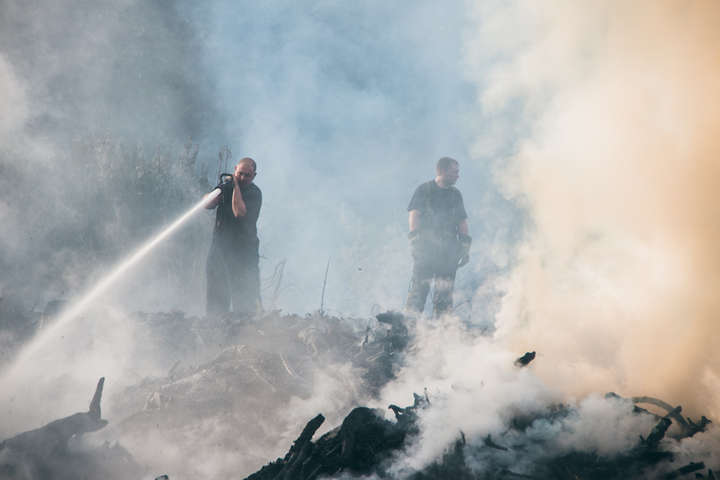 Біля парку «Сирецький гай» сталася масштабна пожежа (фото, відео)