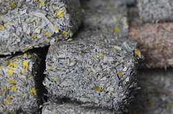 У НБУ зацікавились знайденими під Дніпром мішками з грошима