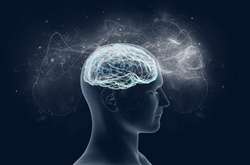 Ученые выяснили, что мозг художников маловосприимчив к денежным стимулам