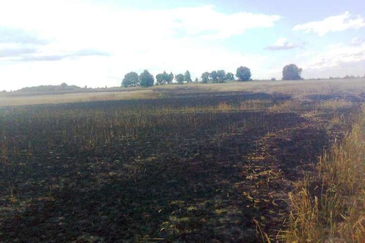 На Житомирщині пожежа знищила 21 гектар пшениці