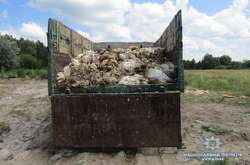 Під Києвом виявлено черговий пташиний могильник (фото)