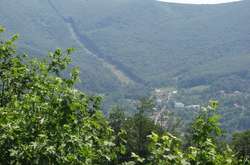 На Закарпатті заблукала киянка похилого віку