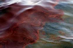 У Канаді через прорив нафтопроводу вилились понад 100 тисяч літрів продукції