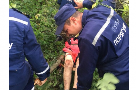 Вінницькі рятувальники винесли з лісових хащів травмованого чоловіка 
