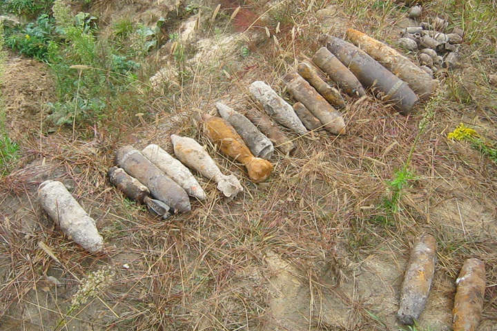 У лісі на околиці Києва знайшли 22 снаряди