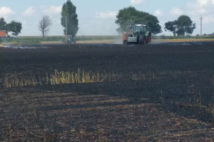 На Київщині згоріло поле пшениці