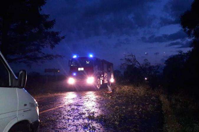 На Львівщині в непогоду трасу завалило деревами 