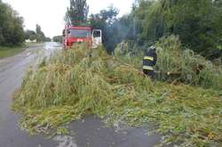 На Тернопільщині негода наробила лиха (фото)